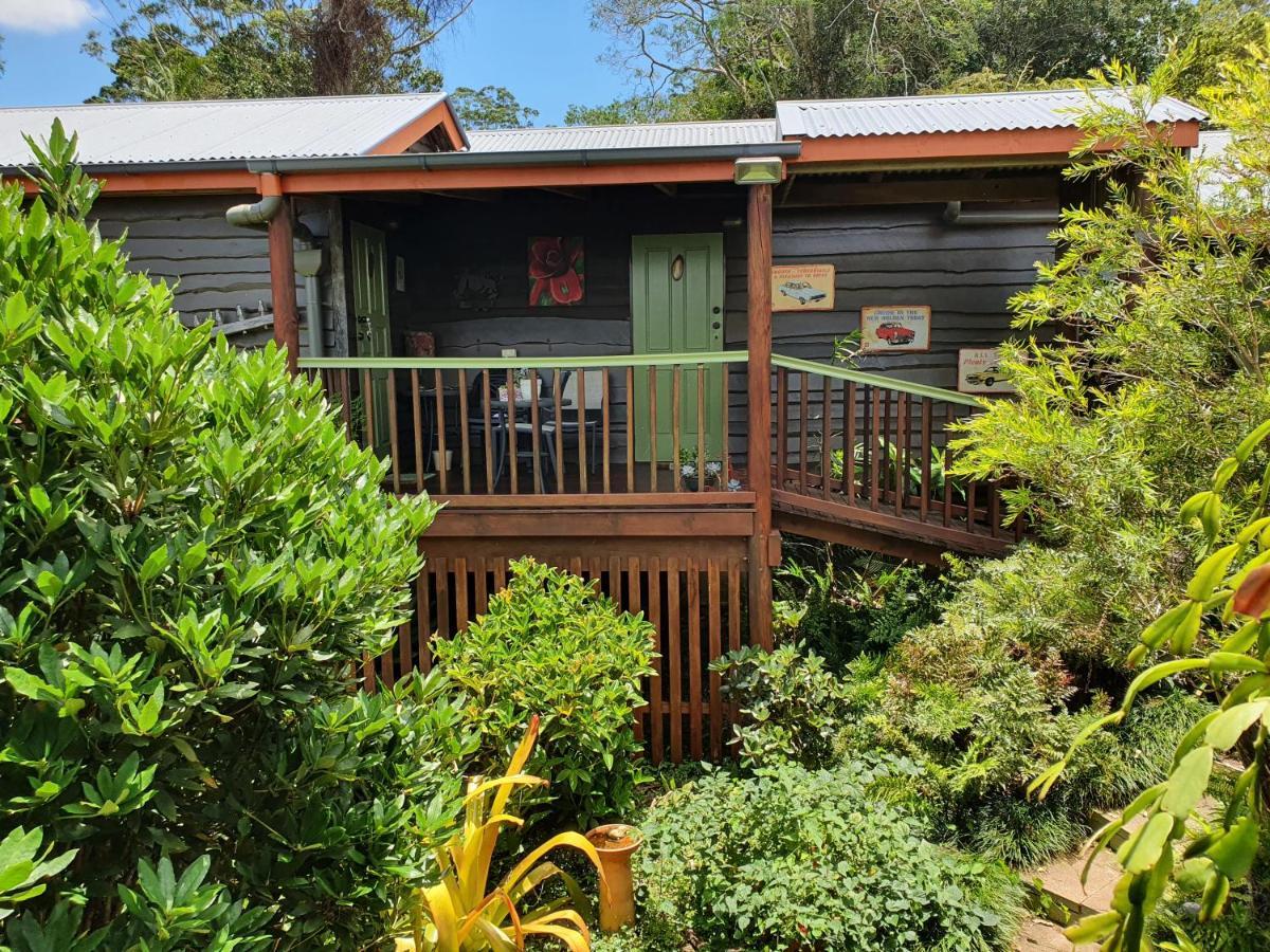 Tamborine Mountain Bed And Breakfast Mount Tamborine