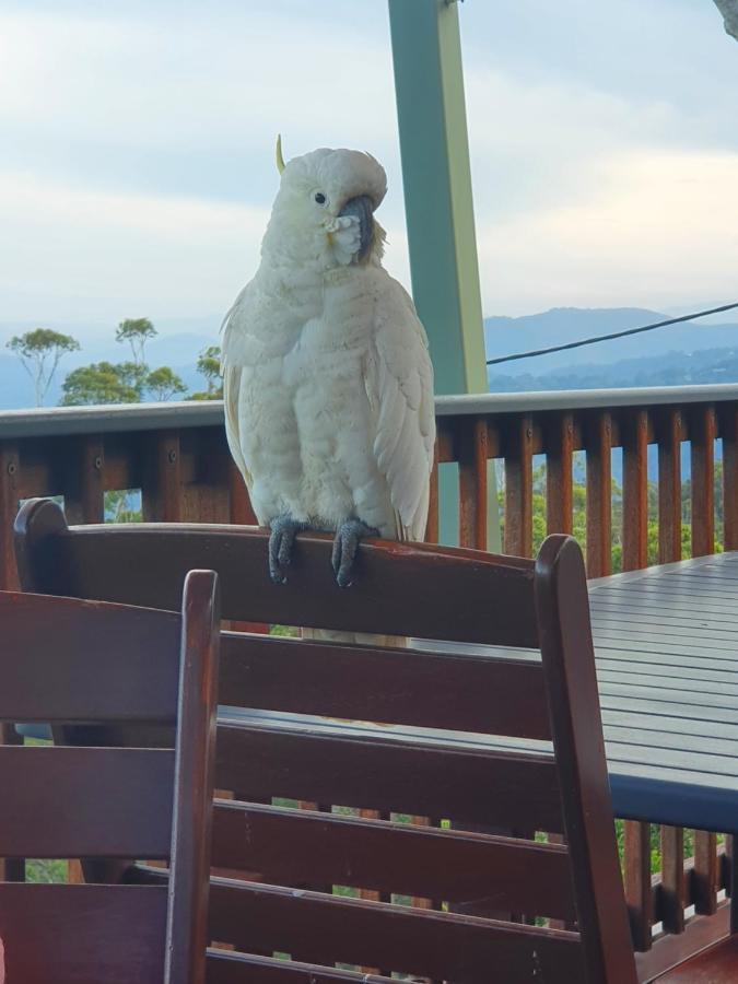Tamborine Mountain Bed And Breakfast Bed & Breakfast