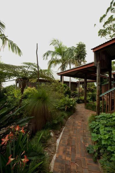 Bed & Breakfast Tamborine Mountain Bed And Breakfast