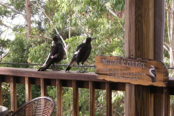 Tamborine Mountain Bed And Breakfast Bed & Breakfast 4*