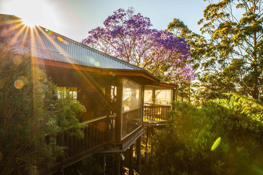 Bed & Breakfast Tamborine Mountain Bed And Breakfast Mount Tamborine