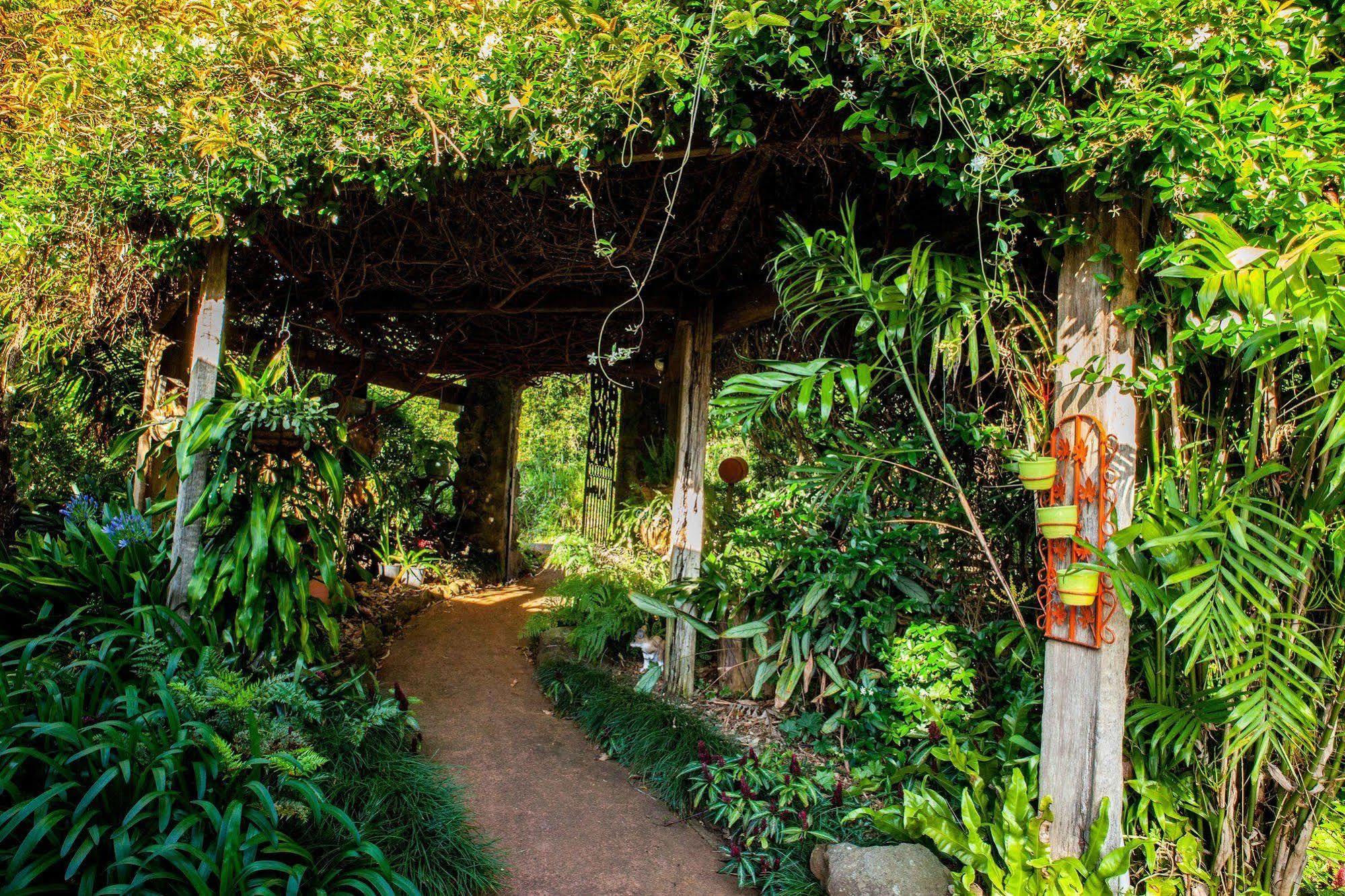 Bed & Breakfast Tamborine Mountain Bed And Breakfast Mount Tamborine