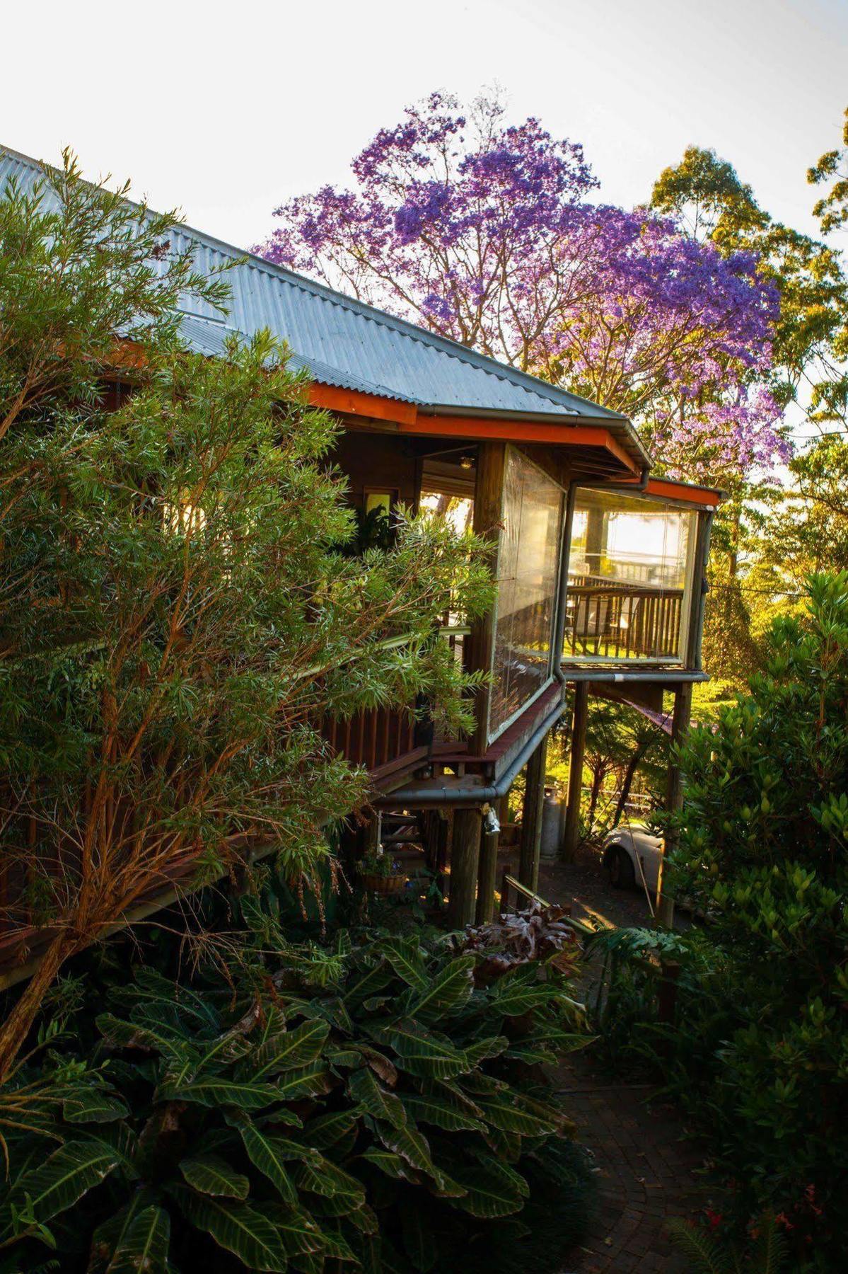 Tamborine Mountain Bed And Breakfast Bed & Breakfast